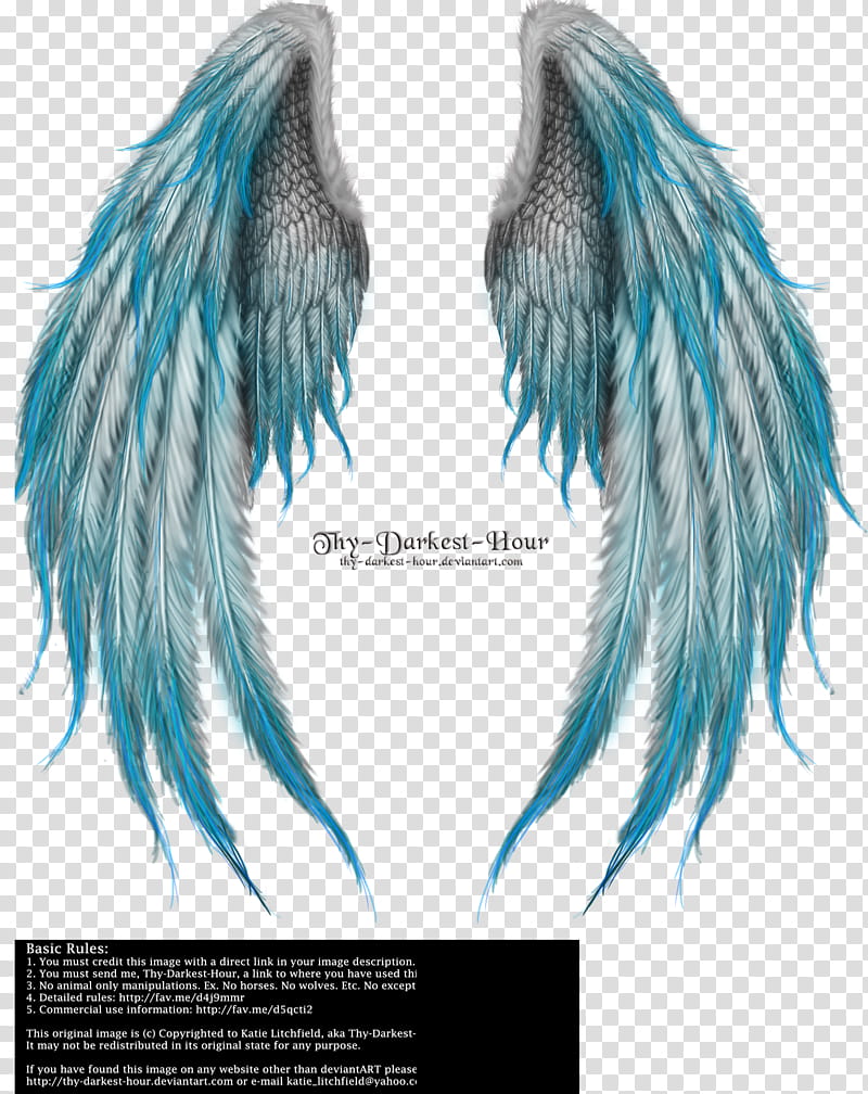 Winged Fantasy V Phoenix Blue, gray and teal wings illustration transparent background PNG clipart
