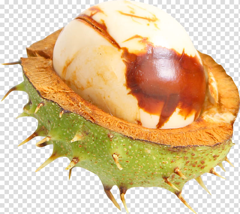 Coconut, Peel, Fruit, Green, Fig, Fruta Fruta, Chestnut, Food transparent background PNG clipart