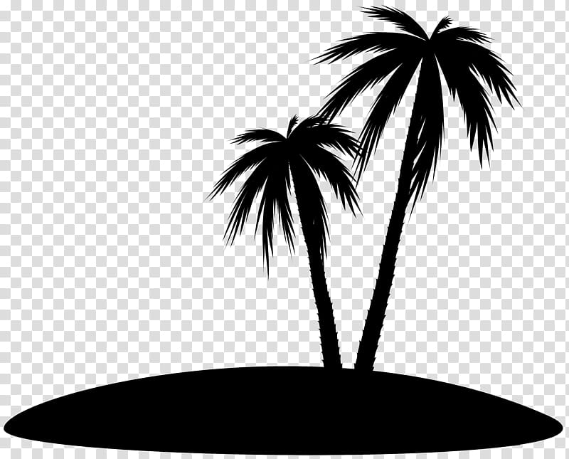 Palm Tree Silhouette Palm Trees Line Leaf White Black