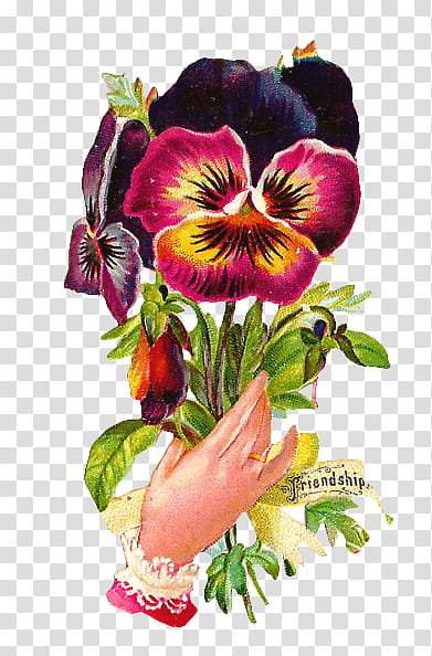 Hands and Flowers s, person holding moth orchid painting transparent background PNG clipart