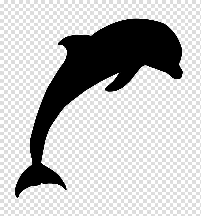 Whale, Silhouette, Killer Whale, Bottlenose Dolphin, Cetacea, Fin, Wholphin, Common Dolphins transparent background PNG clipart