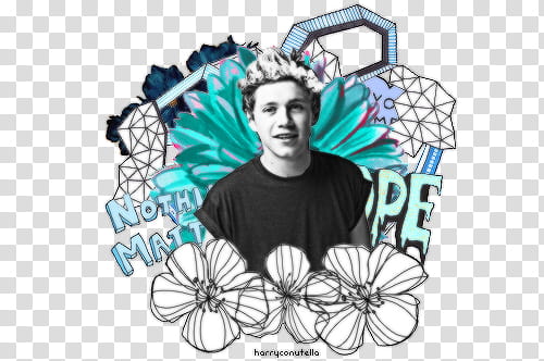 Niall Horan Perf ID. transparent background PNG clipart