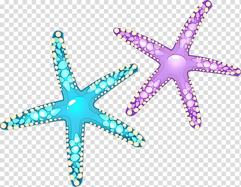 Star Drawing, Starfish, Cartoon, Ochre Sea Star, Turquoise, Purple transparent background PNG clipart