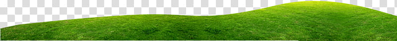 Nature , green grass field transparent background PNG clipart