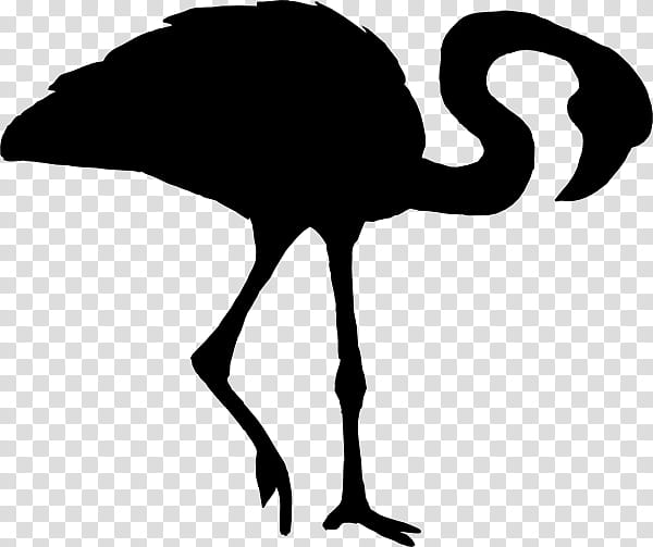 Flamingo Silhouette, Beak, Bird, Neck, Water Bird, Tree, Emu, Ratite transparent background PNG clipart