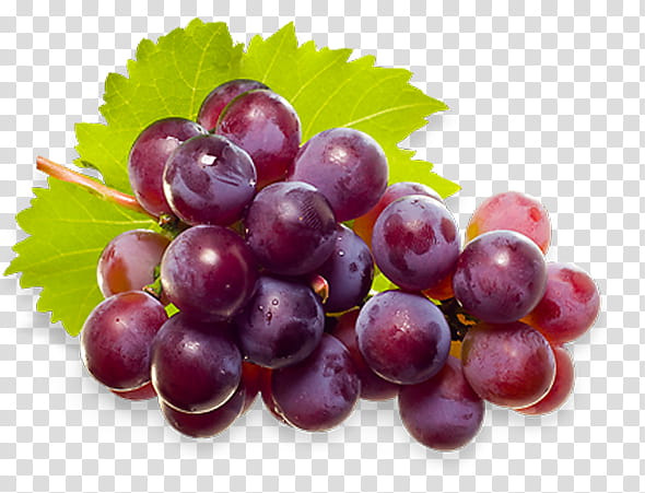 Web Design, Grape, Grape Collection, Blog, Natural Foods, Fruit, Seedless Fruit, Grapevine Family transparent background PNG clipart