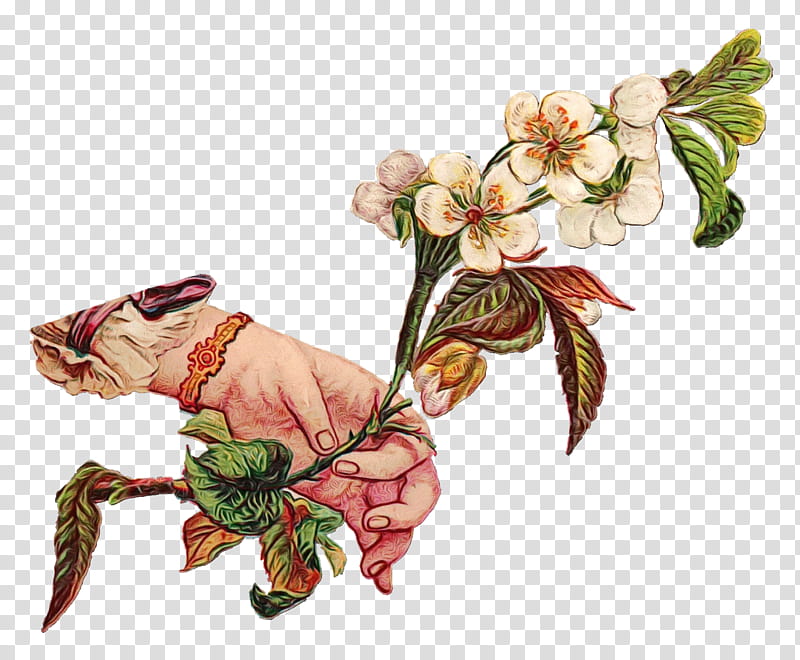 Flowers, Floral Design, Painting, Cut Flowers, Linguistics, English Literature, Artist, Comics transparent background PNG clipart