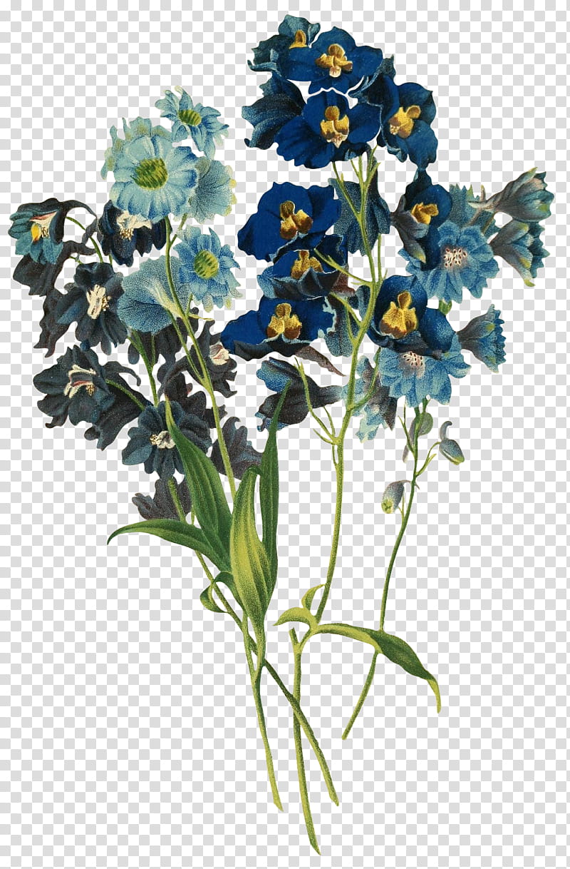flores vintage, teal and blue petaled flowers transparent background PNG clipart