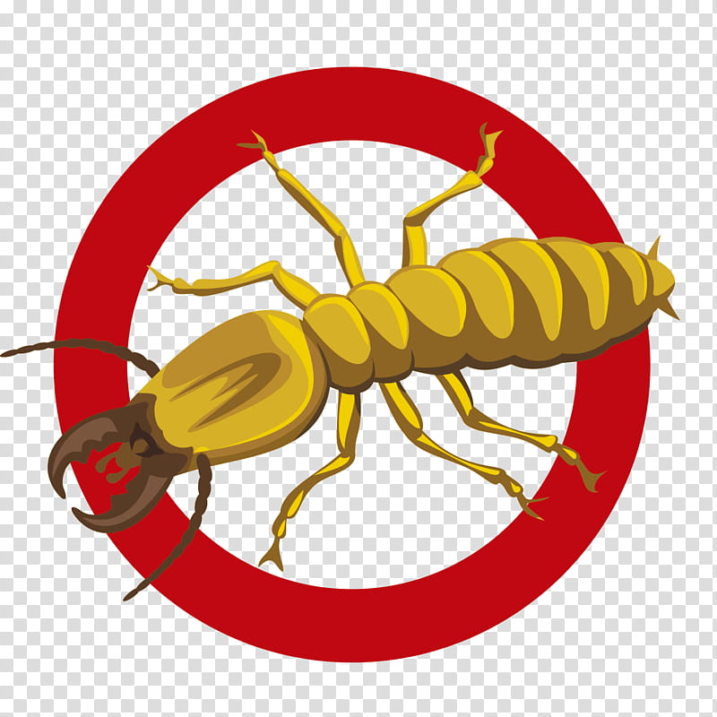 Cockroach, Insect, Pest, Pest Control, Termite, Exterminator, Fly, Pollinator transparent background PNG clipart