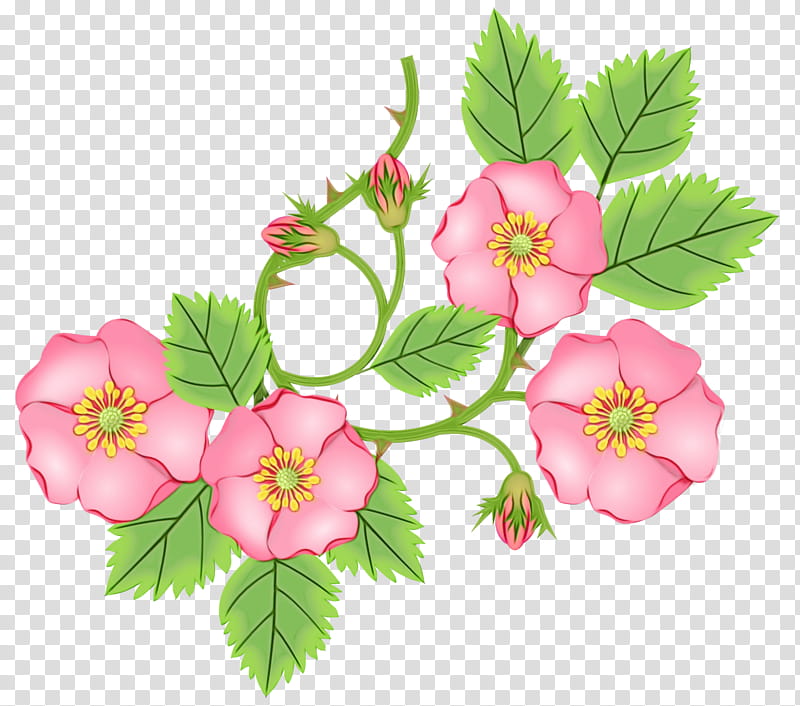 Cherry blossom, Watercolor, Paint, Wet Ink, Flower, Petal, Prickly Rose, Flowering Plant transparent background PNG clipart