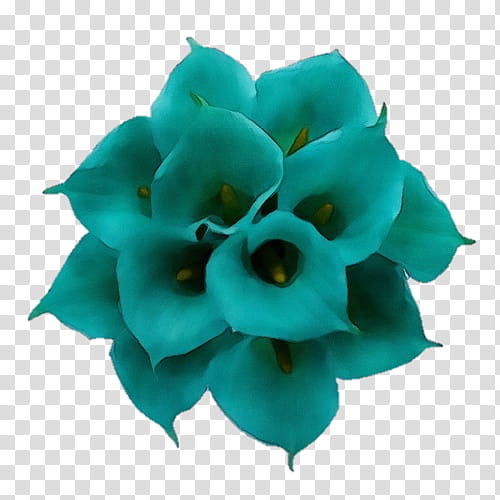 Black And White Flower, Flower Bouquet, Wedding, Teal, Lily, Arumlily, Bride, Blue transparent background PNG clipart