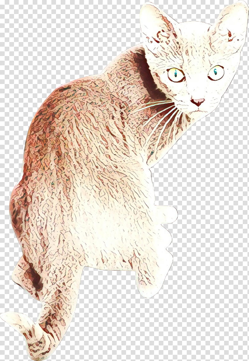 cat small to medium-sized cats whiskers oriental longhair rex cat, Cartoon, Small To Mediumsized Cats, Asian transparent background PNG clipart