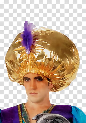 Hair, Headpiece, Purple, Hat, Clothing, Wig, Hairstyle, Hair Coloring transparent background PNG clipart thumbnail