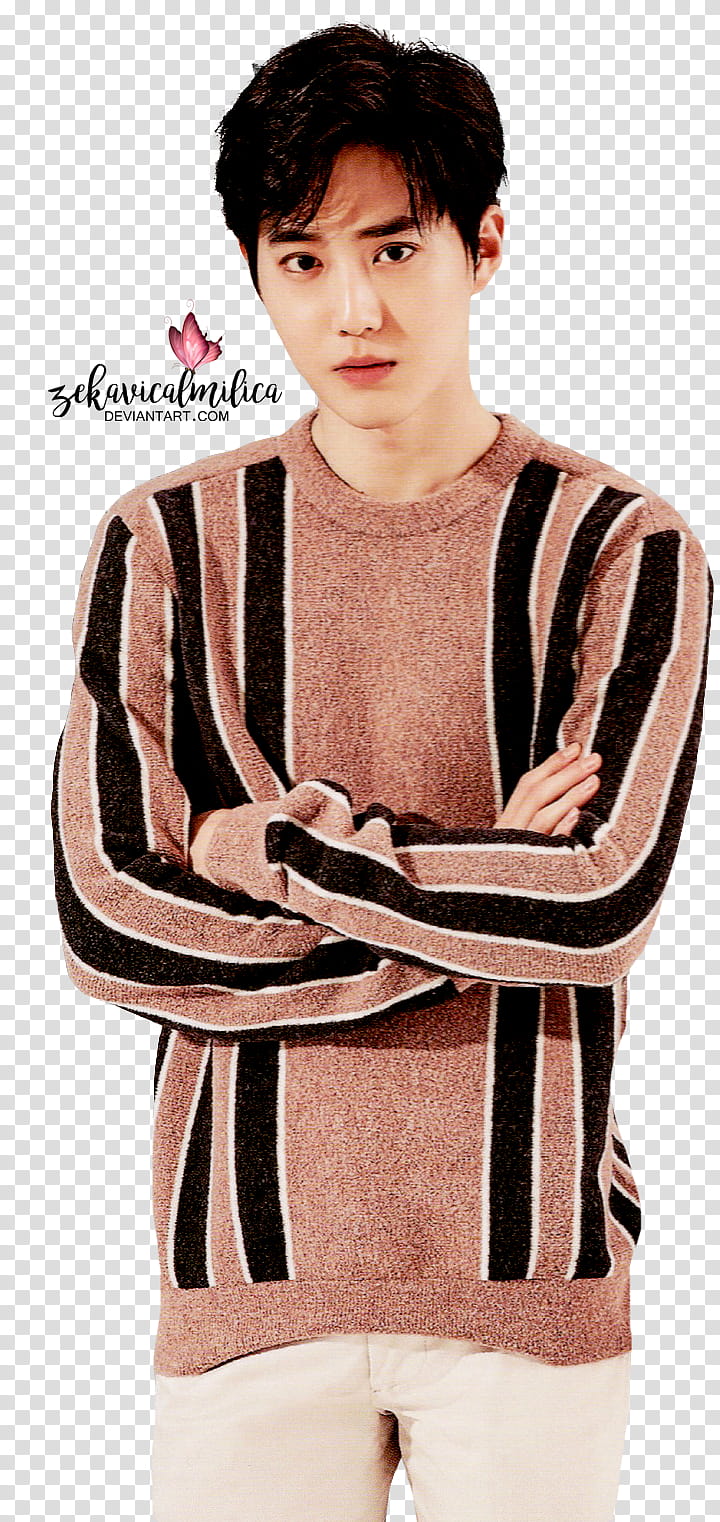 EXO Suho  Season Greetings transparent background PNG clipart