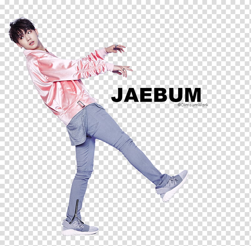 , got_jaebum__fly__by_dimsummark-dxm icon transparent background PNG clipart