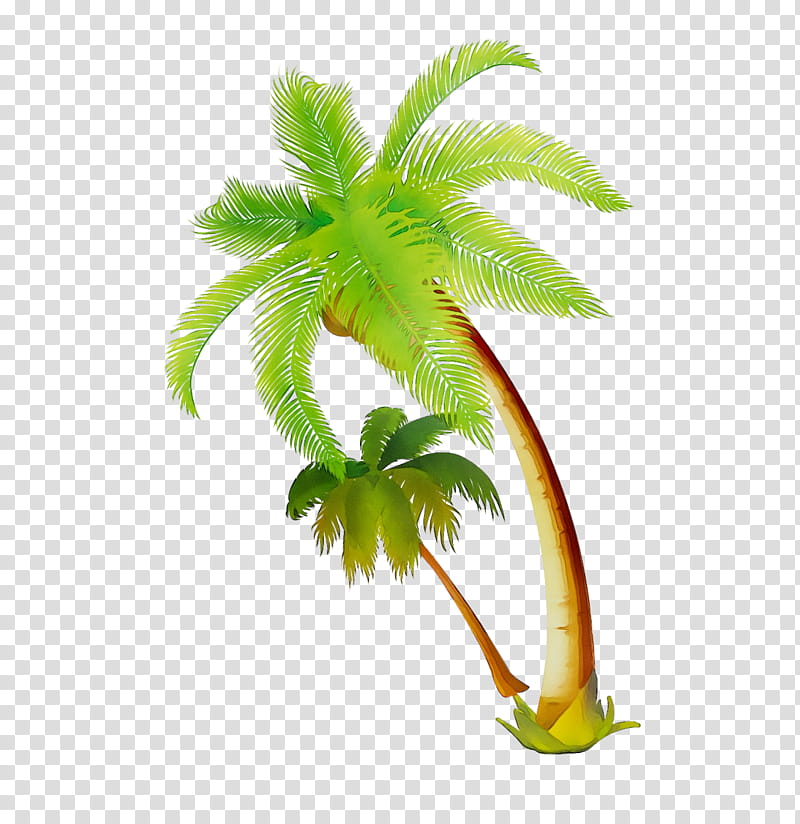 Coconut Tree, Pineapple, Blue Raspberry Flavor, Colada, Cherries, Fruit, Leaf, Palm Trees transparent background PNG clipart