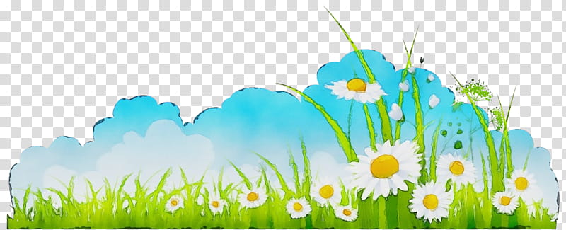 Daisy, Watercolor, Paint, Wet Ink, Nature, Meadow, Camomile, Mayweed transparent background PNG clipart