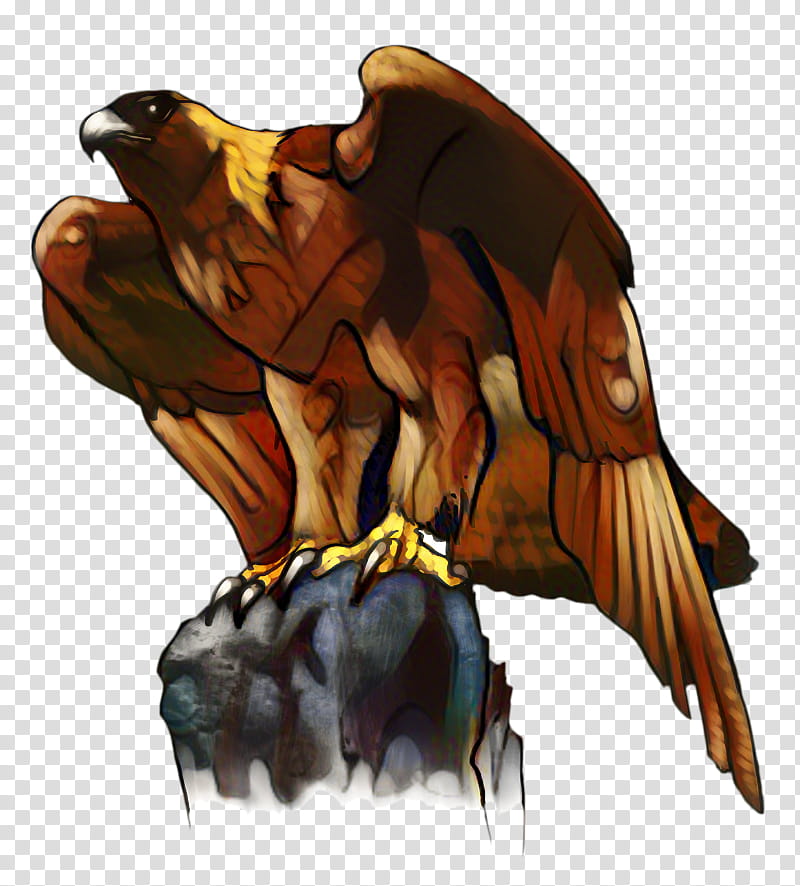 Eagle Bird, Bald Eagle, Golden Eagle, Drawing, Beak, Bird Of Prey, Hunting With Eagles, Hawk transparent background PNG clipart