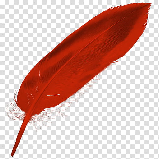 Red objects  , red feather transparent background PNG clipart