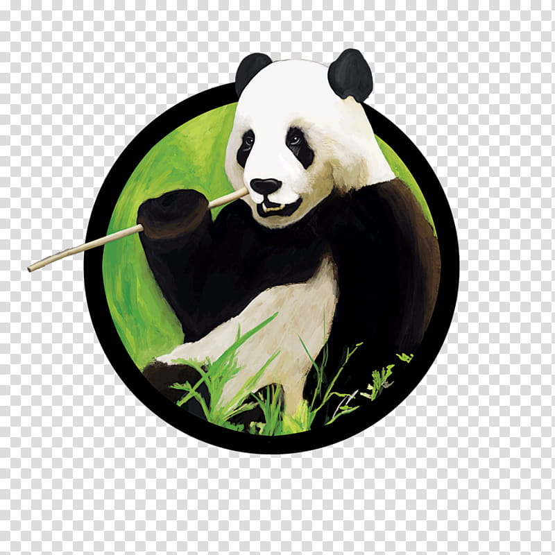 Cartoon Nature, Giant Panda, Bear, Chengdu Research Base Of Giant Panda Breeding, Sichuan Giant Panda Sanctuaries, Cuteness, National Treasure, Drawing transparent background PNG clipart