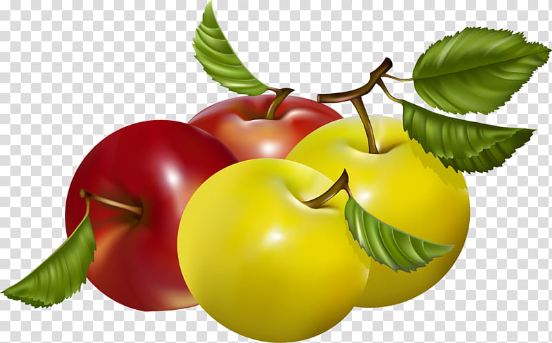 Potato, Barbados Cherry, Apple, Fruit, Vegetarian Cuisine, Food, Natural Foods, Local Food transparent background PNG clipart