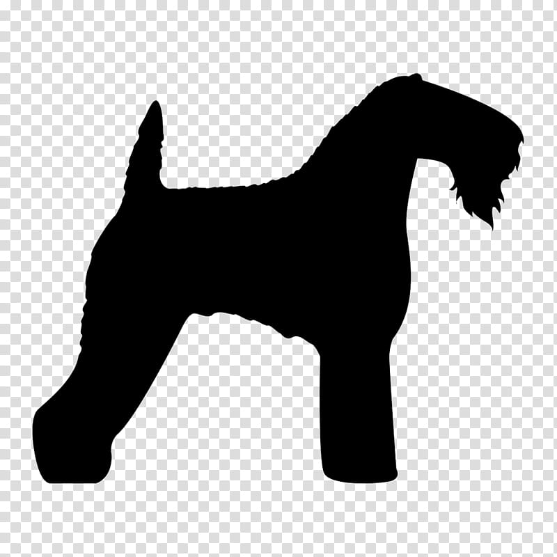 Fox, Kerry Blue Terrier, Airedale Terrier, Puppy, Klippers, Silhouette, Dog, Miniature Schnauzer transparent background PNG clipart