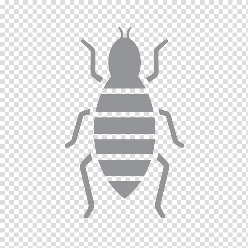 Logo Insect, Line, Pollinator, Membrane, Pest, Beetle, Blister Beetles, Weevil transparent background PNG clipart