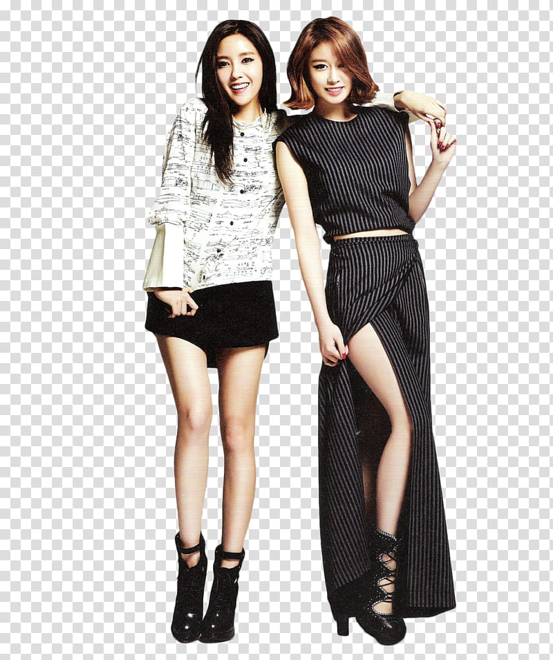 JiYeon Hyomin T ara Render transparent background PNG clipart