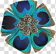 Forever  s, blue, green, and brown peacock feather flower illustration transparent background PNG clipart