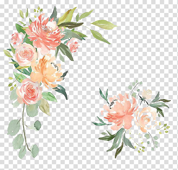 Watercolor Floral Flower Design, Watercolor Flower Arrangements
