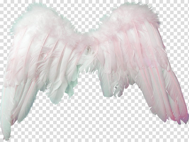 Alas Angel transparent background PNG clipart
