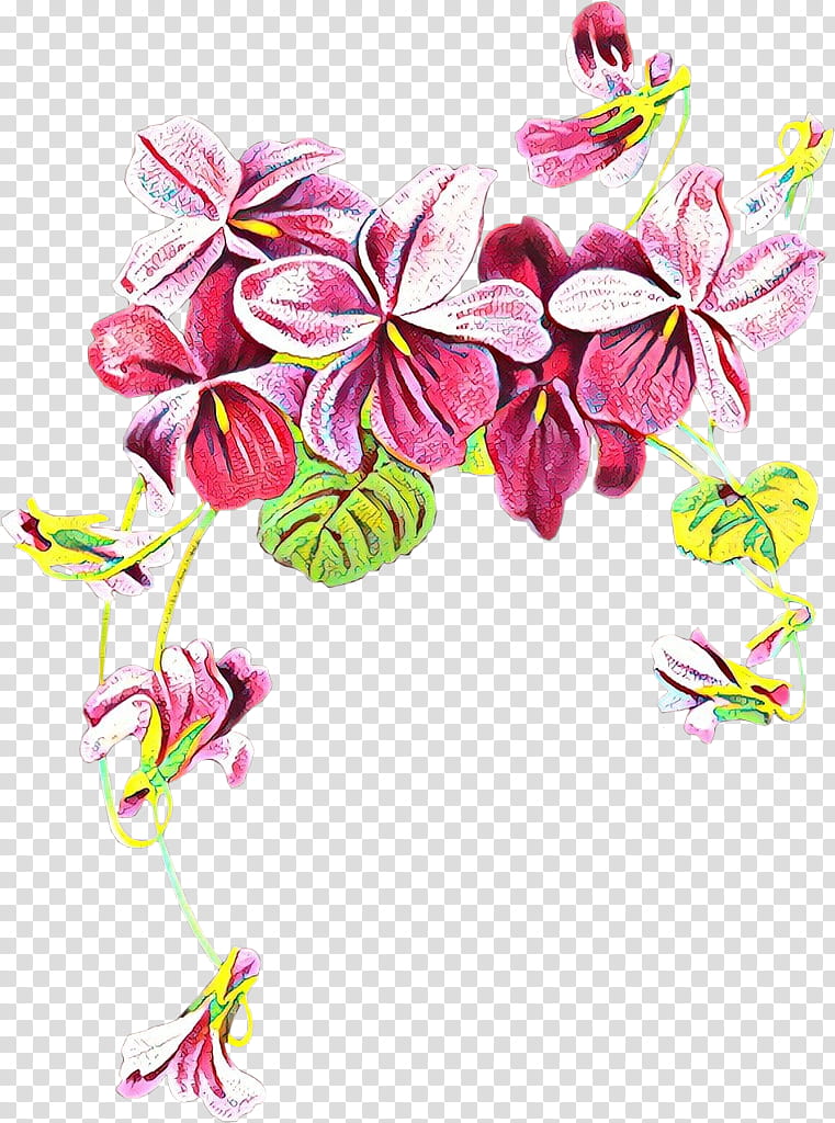 Pink Flower, Cartoon, African Violets, Sweet Violet, Common Blue Violet, Plants, Pansy, Drawing transparent background PNG clipart