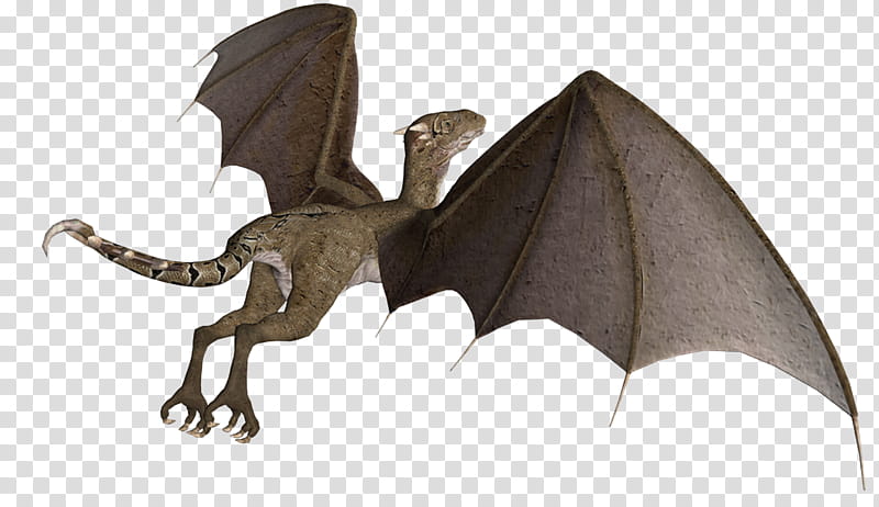 wyvern in flight, gray dragon illustration transparent background PNG clipart