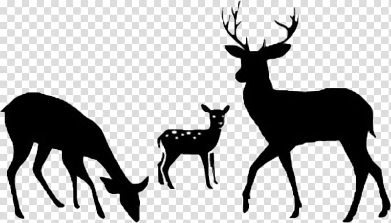 Christmas Card, Deer, Silhouette, Christmas Deer Card, Drawing, Logo, Reindeer, Elk transparent background PNG clipart