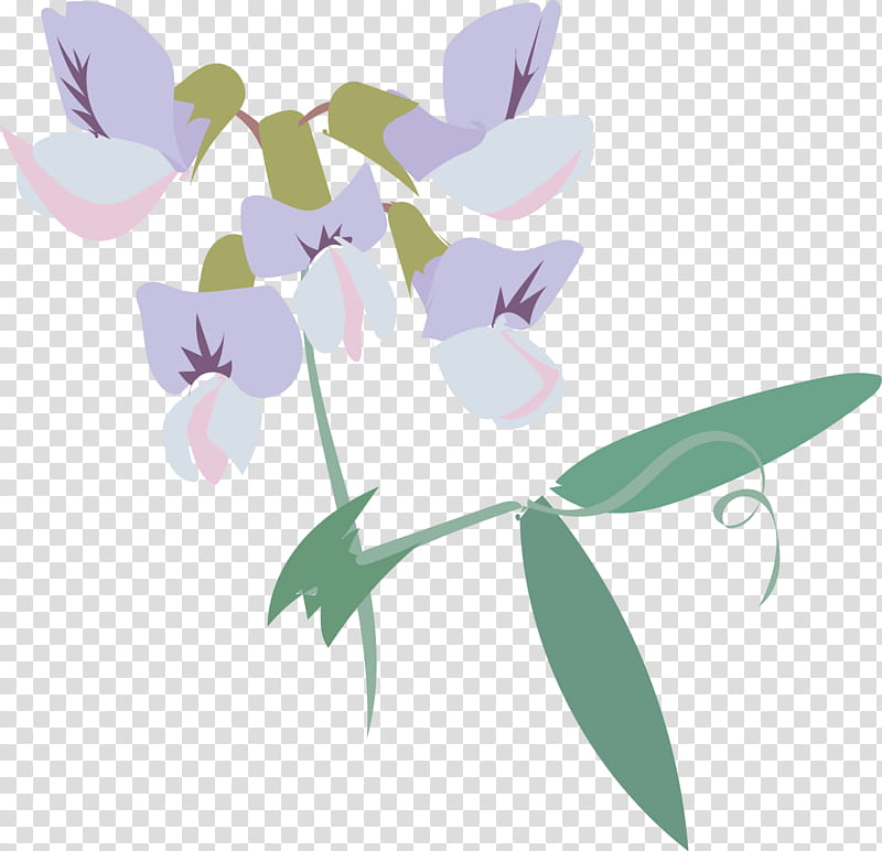 Sweet Pea Flower, Leaf, Plant Stem, Floral Design, Purple, Plants, M Butterfly, Violet transparent background PNG clipart