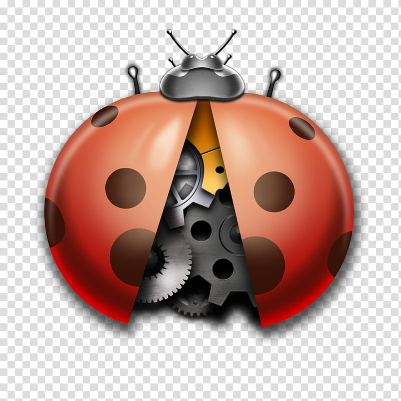 Ladybird, Beetle, Personal Protective Equipment, Orange Sa, Lady Bird, Insect transparent background PNG clipart