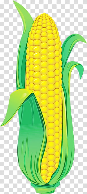 corn on the cob corn green yellow sweet corn, Watercolor, Paint, Wet Ink, Footwear, Vegetarian Food, Shoe, Vegetable transparent background PNG clipart thumbnail