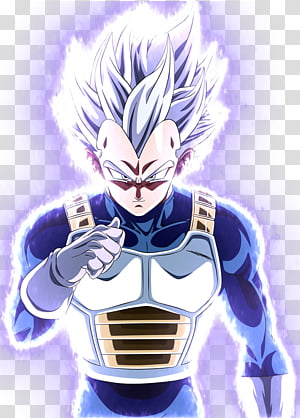 Mastered Ultra Instinct Goku & Evolution Blue Vegeta dokkan 