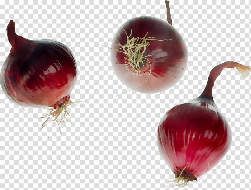 Onion, Yellow Onion, Shallots, Beetroots, Food, Red Onion, Still Life , Fruit transparent background PNG clipart