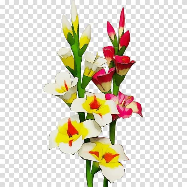 flower flowering plant plant cut flowers gladiolus, Watercolor, Paint, Wet Ink, Petal, Bouquet, Lily, Iris Family transparent background PNG clipart