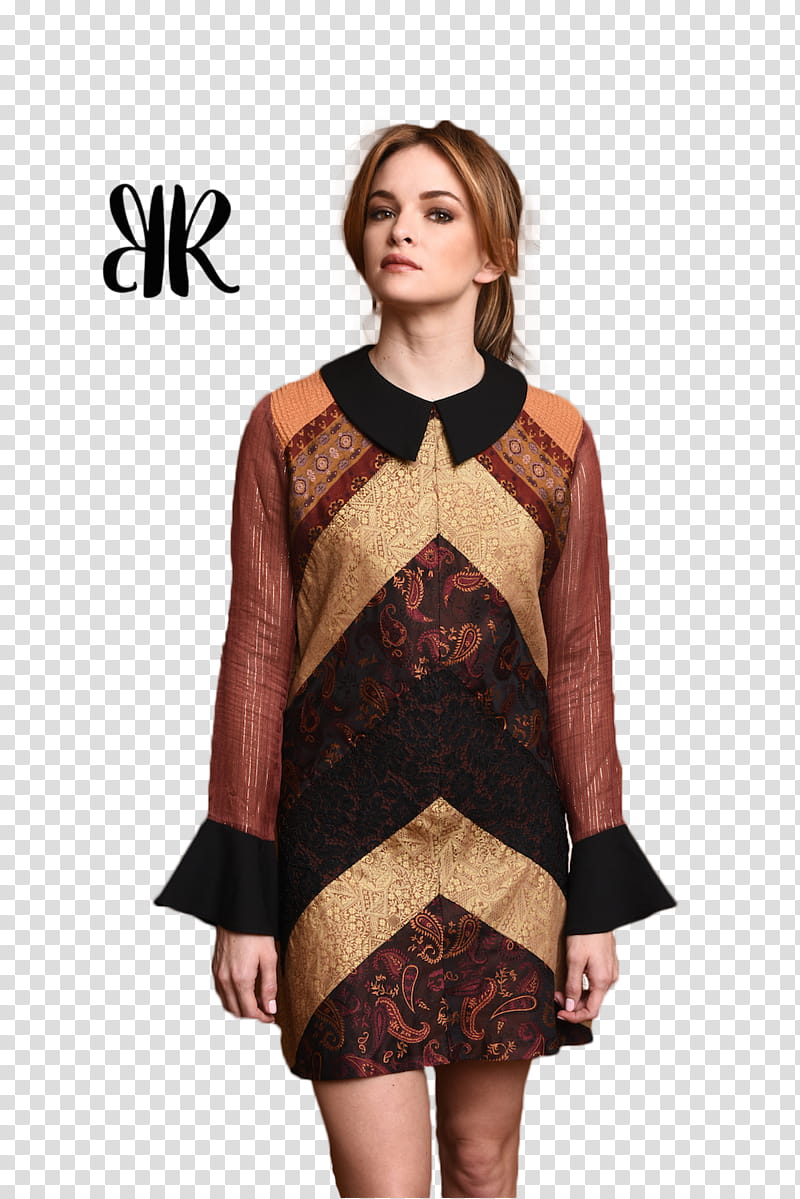 DANIELLE PANABAKER, woman wearing brown and black long-sleeved dress transparent background PNG clipart
