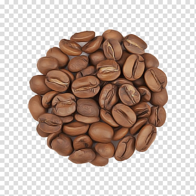 jamaican blue mountain coffee food plant java coffee seed, Bean, Ingredient transparent background PNG clipart