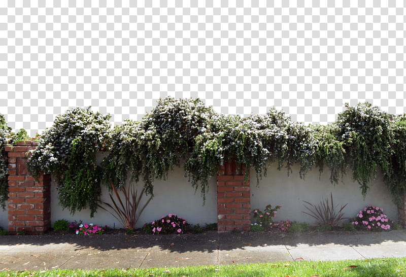 Wall  with Flowers DSC , green field transparent background PNG clipart