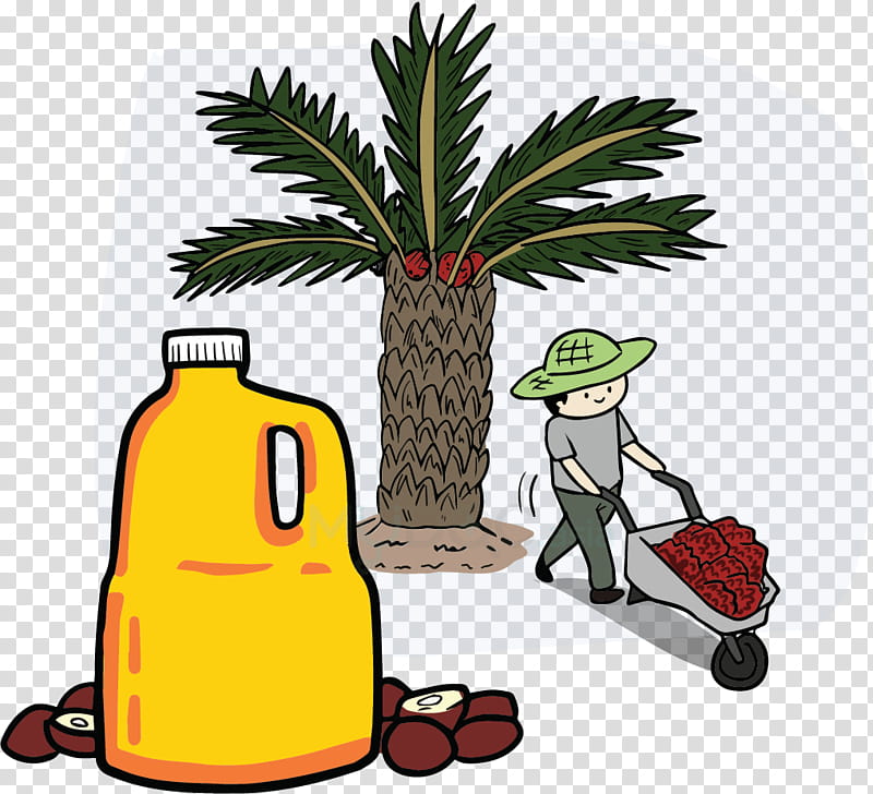 Palm Oil Tree, Cooking Oils, Canola Oil, Corn Oil, African Oil Palm, Frying, Fried Chicken, Sunflower Oil transparent background PNG clipart
