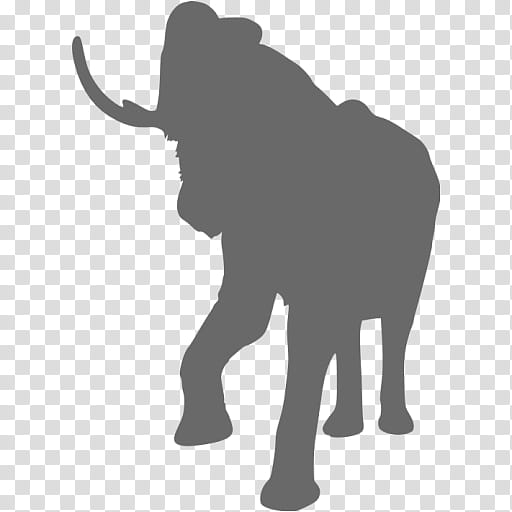 Forest, Elephant, African Bush Elephant, Asian Elephant, African Forest Elephant, Animal, Pachydermata, Silhouette transparent background PNG clipart
