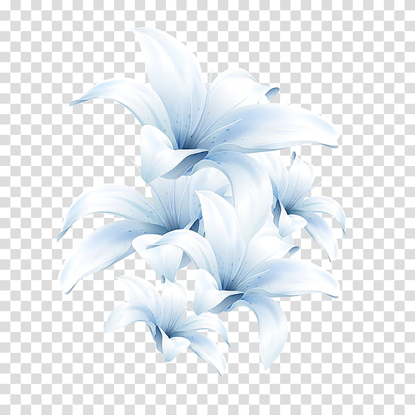 White Lily Flower, Madonna Lily, Blue, Tiger Lily, Painting, Pink Flowers, Petal, Plant transparent background PNG clipart