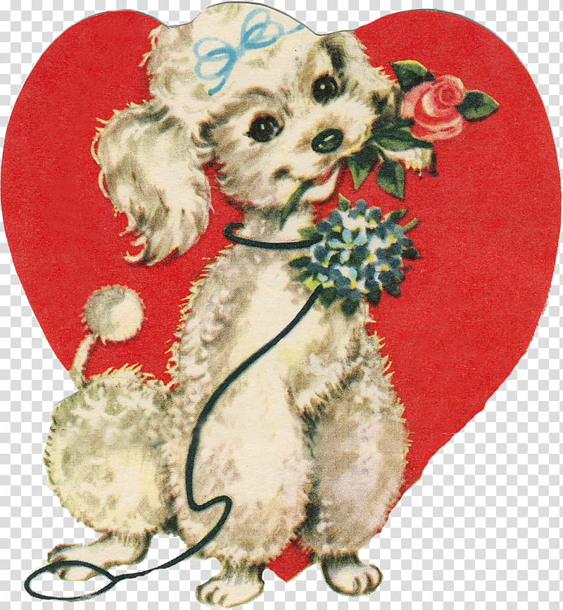Love Background Heart, Poodle, Standard Poodle, Toy Poodle, Pug, Valentines Day, Puppy, Pet transparent background PNG clipart