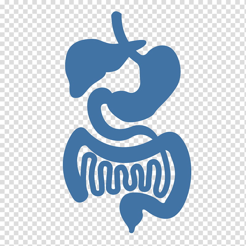 Medicine, Gastrointestinal Tract, Large Intestine, Gastrointestinal Disease, Human Digestive System, Digestion, Gastroenterology, Physician transparent background PNG clipart