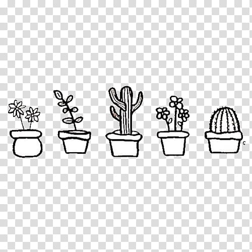 Full, five assorted potted plants illustration transparent background PNG clipart