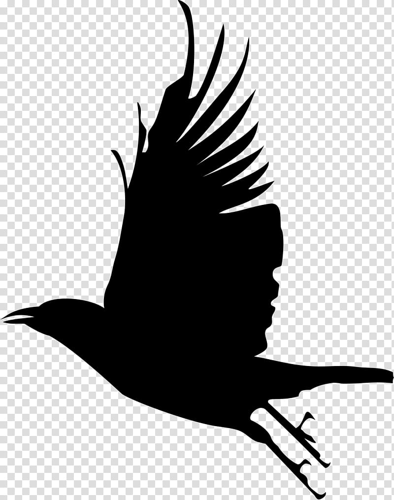 Drawing Of Family, Bird, Silhouette, Crow, Flight, Common Raven, Cartoon, Crows transparent background PNG clipart